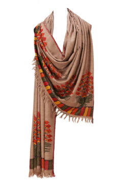 Pashmina Shawls for Men Manufacturers